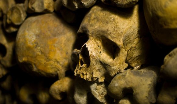 Exploring the Mysterious Depths: A Photographic Journey Through the Catacombs of Paris